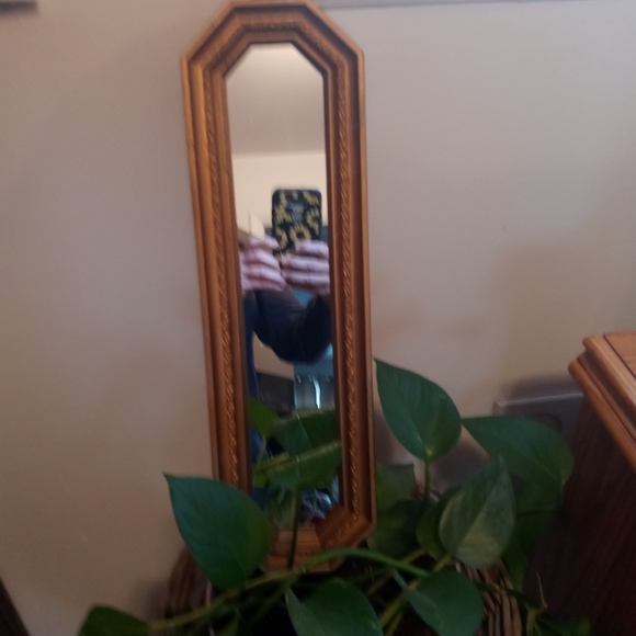 Homco Other - Vintage Homco Mirror